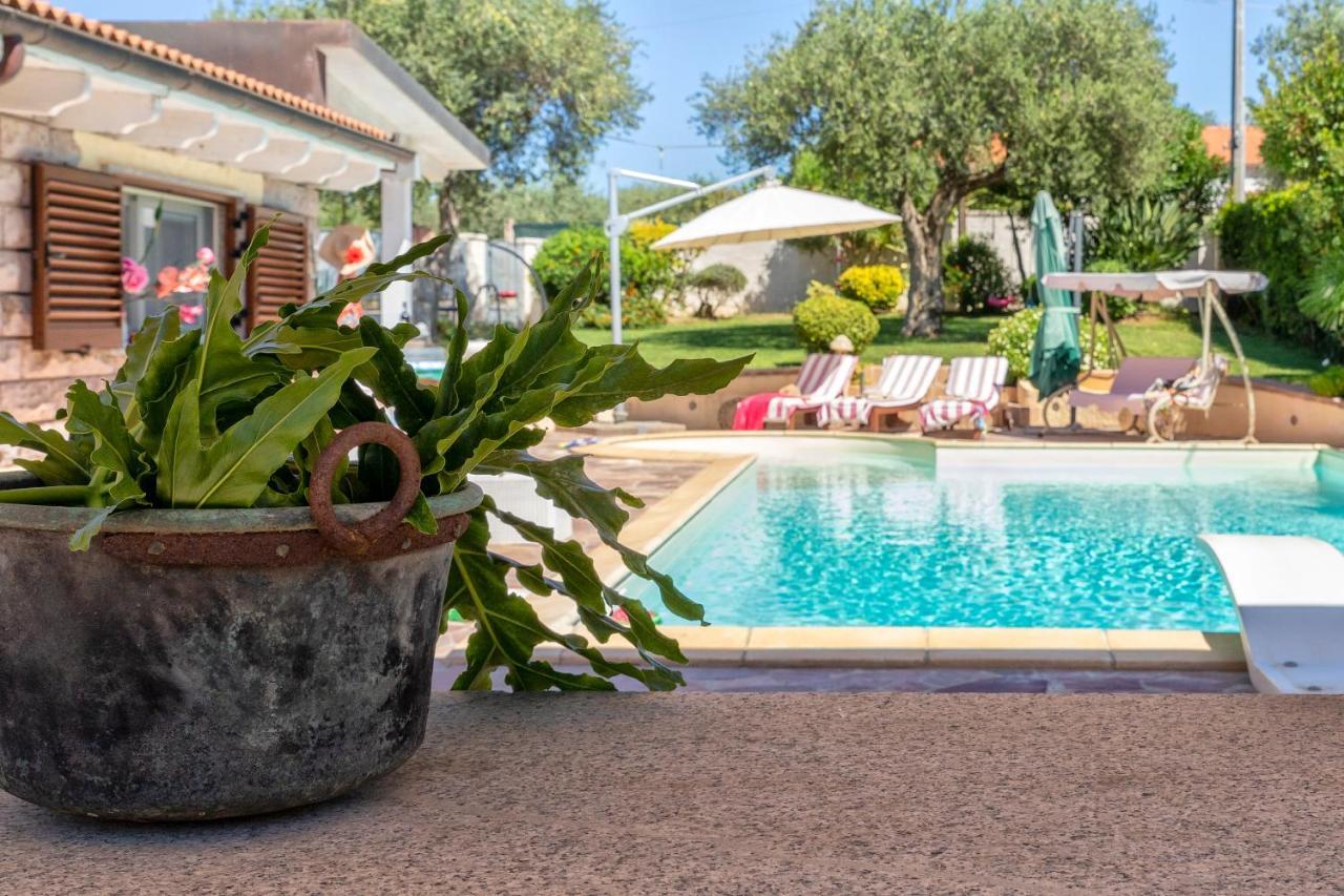 Villa Sunflower Alghero Zewnętrze zdjęcie